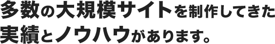 多数の大規模サイトを制作してきた実績とノウハウがあります。